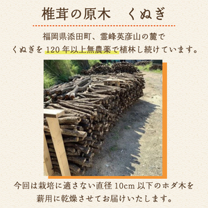 【ふるさと納税】藤川椎茸園のくぬぎ 薪用 コボタ 約50cm未満 約25kg [a0136] 藤川椎茸園 【返礼品】添田町 ふるさと納税