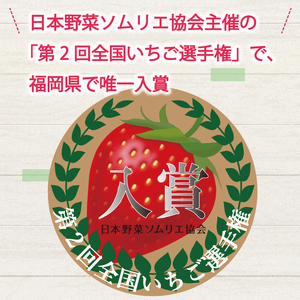 【ふるさと納税】暖家のいちご 完熟あまおう 4パック(形不揃い)  B4 [a6408] 社会福祉法人猪位金福祉会 暖家の丘 ※配送不可：北海道・沖縄・離島【返礼品】添田町 ふるさと納税