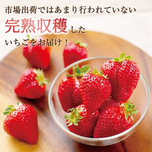 【ふるさと納税】暖家のいちご 完熟あまおう 4パック(形不揃い)  B4 [a6408] 社会福祉法人猪位金福祉会 暖家の丘 ※配送不可：北海道・沖縄・離島【返礼品】添田町 ふるさと納税