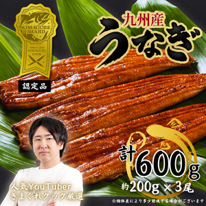 きまぐれクック厳選 うなぎ 国産 3尾 (約600g) 九州産 手焼き 鰻 蒲焼き [a1000] 夏ギフト お中元 【返礼品】福岡県 添田町 ふるさと納税