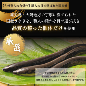 きまぐれクック厳選 うなぎ 国産 3尾 (約600g) 九州産 手焼き 鰻 蒲焼き [a1000] 夏ギフト お中元 【返礼品】福岡県 添田町 ふるさと納税
