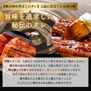 きまぐれクック厳選 うなぎ 国産 3尾 (約600g) 九州産 手焼き 鰻 蒲焼き [a1000] 夏ギフト お中元 【返礼品】福岡県 添田町 ふるさと納税