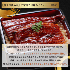 きまぐれクック厳選 うなぎ 国産 3尾 (約600g) 九州産 手焼き 鰻 蒲焼き [a1000] 夏ギフト お中元 【返礼品】福岡県 添田町 ふるさと納税