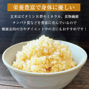 【ふるさと納税】夢つくし玄米PREMIUMパックごはん 160g×24食 [a7414] 酒見食品工業株式会社 ※配送不可：離島【返礼品】添田町 ふるさと納税