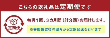 【3ヶ月定期便】A5等級 博多和牛 ヒレステーキ 厚切り (200g×5枚)×3回 合計3kg