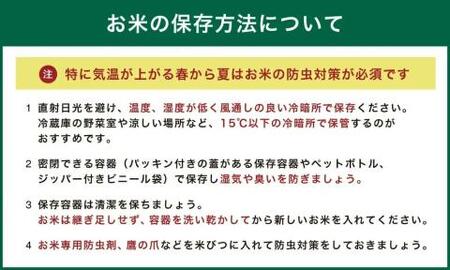 【令和6年産】いとだ泌泉米 白米 36kg (4.5kg×8袋)