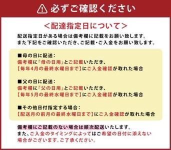 【2025年3月上旬発送開始】 胡蝶蘭 白ミディアム三本立ち 総数21輪程度