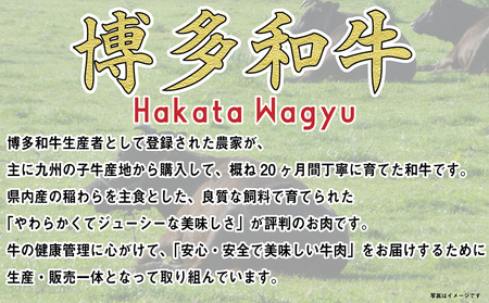 福岡の豊かな自然で育った 博多和牛ミニステーキ用 約500g 肉 牛肉