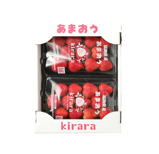 あまおう 約570g 約285g×2パック いちごファームきらら【ふくおかエコ農産物認証】【2026年2月上旬-3月下旬発送予定】