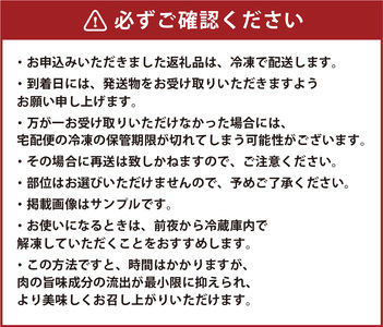 博多和牛 A4ランク以上 焼肉用タレ漬 約550g