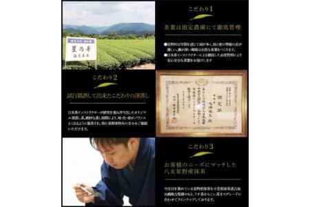 訳あり品 八女星野産 深蒸し茶 合計1.1kg 100g×11本 八女茶 お茶 茶葉 緑茶 家庭用