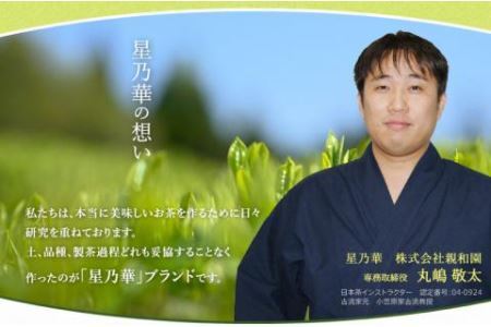 八女星野 深蒸し茶 合計300g 100g×3本 緑茶 茶葉