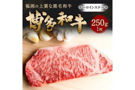 博多和牛 サーロインステーキ 250g (250g×1枚) 牛肉 ステーキ 11,100円