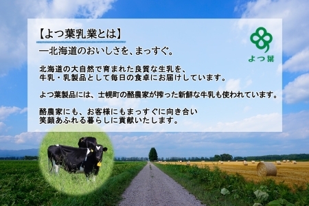 よつ葉 北海道 十勝 おつまみチーズ 6種 チーズ チェダーチーズ ゴーダチーズ ナチュラルチーズ プロセスチーズ スモークチーズ カマンベール ブルーチーズ 青カビ 送料無料 士幌町【Y102】