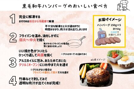 北海道 愛され和牛 ハンバーグ 食育 150g × 5個 牛肉 十勝 士幌町【EN01】