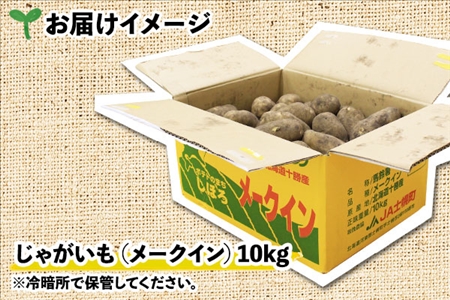 北海道 じゃがいも メークイン 10kg 北海道産 十勝産 ジャガイモ 芋 いも ポテト お取り寄せ まとめ買い 送料無料 十勝 士幌町【V05】