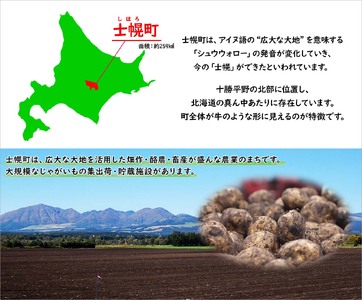 北海道 しほろ旅館の湯 オリジナル湯の素 （すずらんの香湯）