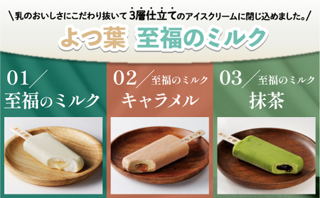 北海道 よつ葉 アイスクリーム セット アイス 7種類 12個 バニラ 抹茶
