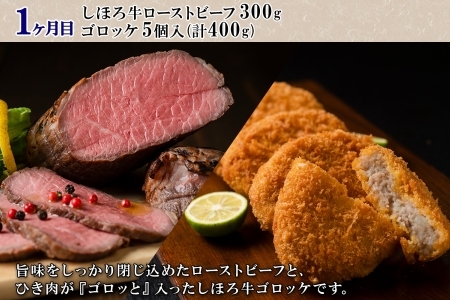 北海道 プレミアム 定期便 全4回 ゴロッケ ローストビーフ よつ葉 バター フライドポテト しほろ牛  サーロイン ステーキ コロッケ 牛 肉 ビーフ セット 牛 赤身肉 国産牛 肉 ビーフ セット 国産 頒布会 送料無料 十勝 士幌町【X24】