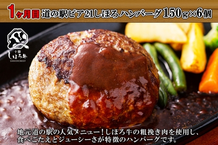 定期便 北海道 しほろ ハンバーグ 全4回 しほろ牛 道の駅 ピア21しほろ 北秀牛 ビーフ ハンバーグステーキ beef 牛肉 赤身肉 国産牛 肉 セット 加工品 おかず 惣菜 お惣菜 国産 冷凍 詰合せ お取り寄せ 送料無料 十勝 士幌町【X23a】