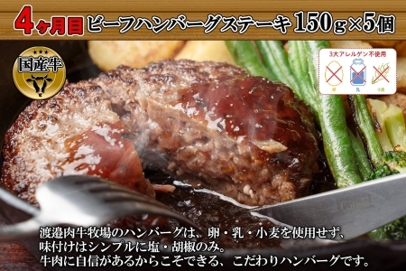 定期便 北海道 しほろ ハンバーグ 全4回 しほろ牛 道の駅 ピア21しほろ 北秀牛 ビーフ ハンバーグステーキ beef 牛肉 赤身肉 国産牛 肉 セット 加工品 おかず 惣菜 お惣菜 国産 冷凍 詰合せ お取り寄せ 送料無料 十勝 士幌町【X23a】