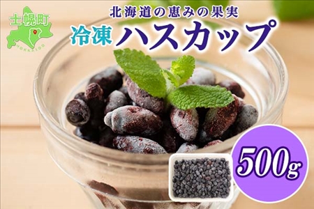 【冷凍着払】爽やかな酸味でポリフェノール豊富‼北海道十勝産冷凍ハスカップ　2kg