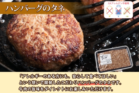 北海道 ビーフ ハンバーグステーキ 500g  ハンバーグの種 手づくり ハンバーグ タネ  卵不使用 乳不使用 小麦不使用 国産  beef 牛肉 赤身肉 国産牛 肉 おかず パーティー 冷凍 お取り寄せ 送料無料 十勝 士幌町【W07】