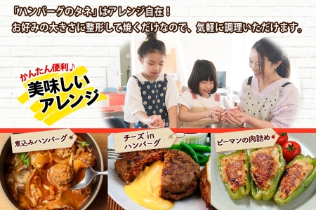 北海道 ビーフ ハンバーグステーキ 500g  ハンバーグの種 手づくり ハンバーグ タネ  卵不使用 乳不使用 小麦不使用 国産  beef 牛肉 赤身肉 国産牛 肉 おかず パーティー 冷凍 お取り寄せ 送料無料 十勝 士幌町【W07】
