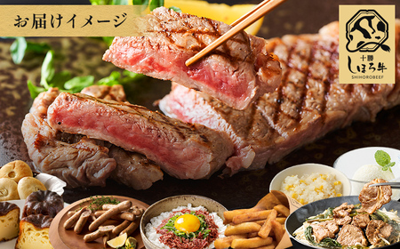 【ふるさと納税】定期便 北海道 道の駅スタッフセット 全5回 しほろ牛 サーロイン 切り落とし 牛丼 ハンバーグ コンビーフ カムカムステーキ ソーセージ ジンギスカン 肉まん 焼売 ポテト コロッケ アイス ピア21しほろ 送料無料 十勝 士幌町 100000円【L905】