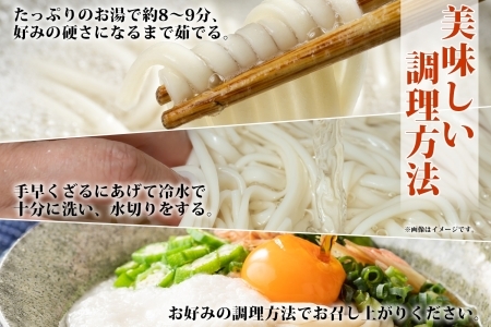 北海道産 うどん 250g×12袋 2-3人前 乾麺 干しうどん 麺 めん きたほなみ 小麦使用 小分け 個包装 保存 備蓄 贈り物 ギフト 送料無料 北海道 十勝 士幌町 【N05-2】