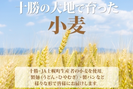 北海道産 うどん 250g×12袋 2-3人前 乾麺 干しうどん 麺 めん きたほなみ 小麦使用 小分け 個包装 保存 備蓄 贈り物 ギフト 送料無料 北海道 十勝 士幌町 【N05-2】