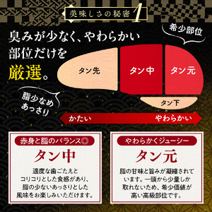  厚切り牛タン 500g | 牛タン KSD