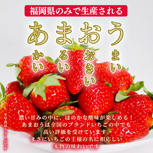 あまおう 福岡産 あまおう あまおう あまおう いちご 約1.1kg 1月発送 DNK003