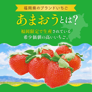 【1月上旬より順次出荷】福岡県産 あまおう 約280g×2パック 約560g 冷蔵 いちご 苺 あまおう いちご 苺 あまおう いちご 苺 あまおう いちご 苺 あまおう いちご 苺 あまおう いちご 苺 あまおう いちご 苺 あまおう いちご 苺 あまおう いちご 苺 あまおう いちご 苺 あまおう いちご 苺 あまおう いちご 苺 あまおう いちご 苺 あまおう いちご 苺 あまおう いちご 苺 あまおう いちご 苺 あまおう いちご 苺 あまおう いちご 苺 あまおう いちご 苺 あまおう いちご 苺 あまおう いちご 苺 あまおう いちご 苺 あまおう いちご 苺 あまおう いちご 苺 あまおう いちご 苺 あまおう いちご 苺 あまおう いちご 苺 あまおう いちご 苺 あまおう いちご 苺 あまおう いちご 苺 あまおう いちご 苺 あまおう いちご 苺 あまおう いちご 苺 あまおう いちご 苺 あまおう いちご 苺 あまおう いちご 苺 あまおう いちご 苺 あまおう いちご 苺 あまおう いちご 苺 あまおう いちご 苺 あまおう いちご 苺 あまおう いちご 苺 あまおう いちご 苺 あまおう いちご 苺 あまおう いちご 苺 あまおう いちご 苺 あまおう いちご 苺 あまおう いちご 苺 あまおう いちご 苺 あまおう いちご 苺 あまおう いちご 苺 あまおう いちご 苺 あまおう いちご 苺 あまおう いちご 苺 あまおう いちご 苺 あまおう いちご 苺 あまおう いちご 苺 あまおう いちご 苺 あまおう いちご 苺 あまおう いちご 苺 あまおう いちご 苺 あまおう いちご 苺 あまおう いちご 苺 あまおう いちご 苺 あまおう いちご 苺 あまおう いちご 苺 あまおう いちご 苺 あまおう いちご 苺 あまおう いちご 苺 あまおう いちご 苺 あまおう いちご 苺 あまおう いちご 苺 あまおう いちご 苺 あまおう いちご 苺 あまおう いちご 苺 あまおう いちご 苺 あまおう いちご 苺 あまおう いちご 苺 あまおう いちご 苺 あまおう いちご 苺 あまおう いちご 苺 あまおう いちご 苺 あまおう いちご 苺 あまおう いちご 苺 あまおう いちご 苺 あまおう いちご 苺 あまおう ONE001