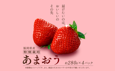 【1月上旬より順次出荷】福岡県産 あまおう 約280g×4パック 約1,120g 冷蔵 1kg以上 いちご 苺 あまおう いちご 苺 あまおう いちご 苺 あまおう いちご 苺 あまおう いちご 苺 あまおう いちご 苺 あまおう いちご 苺 あまおう いちご 苺 あまおう いちご 苺 あまおう いちご 苺 あまおう いちご 苺 あまおう いちご 苺 あまおう いちご 苺 あまおう いちご 苺 あまおう いちご 苺 あまおう いちご 苺 あまおう いちご 苺 あまおう いちご 苺 あまおう いちご 苺 あまおう いちご 苺 あまおう いちご 苺 あまおう いちご 苺 あまおう いちご 苺 あまおう いちご 苺 あまおう いちご 苺 あまおう いちご 苺 あまおう いちご 苺 あまおう いちご 苺 あまおう いちご 苺 あまおう いちご 苺 あまおう いちご 苺 あまおう いちご 苺 あまおう いちご 苺 あまおう いちご 苺 あまおう いちご 苺 あまおう いちご 苺 あまおう いちご 苺 あまおう いちご 苺 あまおう いちご 苺 あまおう いちご 苺 あまおう いちご 苺 あまおう いちご 苺 あまおう いちご 苺 あまおう いちご 苺 あまおう いちご 苺 あまおう いちご 苺 あまおう いちご 苺 あまおう いちご 苺 あまおう いちご 苺 あまおう いちご 苺 あまおう いちご 苺 あまおう いちご 苺 あまおう いちご 苺 あまおう いちご 苺 あまおう いちご 苺 あまおう いちご 苺 あまおう いちご 苺 あまおう いちご 苺 あまおう いちご 苺 あまおう いちご 苺 あまおう いちご 苺 あまおう いちご 苺 あまおう いちご 苺 あまおう いちご 苺 あまおう いちご 苺 あまおう いちご 苺 あまおう いちご 苺 あまおう いちご 苺 あまおう いちご 苺 あまおう いちご 苺 あまおう いちご 苺 あまおう いちご 苺 あまおう いちご 苺 あまおう いちご 苺 あまおう いちご 苺 あまおう いちご 苺 あまおう いちご 苺 あまおう いちご 苺 あまおう いちご 苺 あまおう いちご 苺 あまおう いちご 苺 あまおう いちご 苺 あまおう いちご 苺 あまおう いちご 苺 あまおう いちご 苺 あまおう ONE002