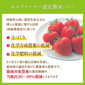 【1月上旬より順次出荷】福岡県産 あまおう 約280g×4パック 約1,120g 冷蔵 1kg以上 いちご 苺 あまおう いちご 苺 あまおう いちご 苺 あまおう いちご 苺 あまおう いちご 苺 あまおう いちご 苺 あまおう いちご 苺 あまおう いちご 苺 あまおう いちご 苺 あまおう いちご 苺 あまおう いちご 苺 あまおう いちご 苺 あまおう いちご 苺 あまおう いちご 苺 あまおう いちご 苺 あまおう いちご 苺 あまおう いちご 苺 あまおう いちご 苺 あまおう いちご 苺 あまおう いちご 苺 あまおう いちご 苺 あまおう いちご 苺 あまおう いちご 苺 あまおう いちご 苺 あまおう いちご 苺 あまおう いちご 苺 あまおう いちご 苺 あまおう いちご 苺 あまおう いちご 苺 あまおう いちご 苺 あまおう いちご 苺 あまおう いちご 苺 あまおう いちご 苺 あまおう いちご 苺 あまおう いちご 苺 あまおう いちご 苺 あまおう いちご 苺 あまおう いちご 苺 あまおう いちご 苺 あまおう いちご 苺 あまおう いちご 苺 あまおう いちご 苺 あまおう いちご 苺 あまおう いちご 苺 あまおう いちご 苺 あまおう いちご 苺 あまおう いちご 苺 あまおう いちご 苺 あまおう いちご 苺 あまおう いちご 苺 あまおう いちご 苺 あまおう いちご 苺 あまおう いちご 苺 あまおう いちご 苺 あまおう いちご 苺 あまおう いちご 苺 あまおう いちご 苺 あまおう いちご 苺 あまおう いちご 苺 あまおう いちご 苺 あまおう いちご 苺 あまおう いちご 苺 あまおう いちご 苺 あまおう いちご 苺 あまおう いちご 苺 あまおう いちご 苺 あまおう いちご 苺 あまおう いちご 苺 あまおう いちご 苺 あまおう いちご 苺 あまおう いちご 苺 あまおう いちご 苺 あまおう いちご 苺 あまおう いちご 苺 あまおう いちご 苺 あまおう いちご 苺 あまおう いちご 苺 あまおう いちご 苺 あまおう いちご 苺 あまおう いちご 苺 あまおう いちご 苺 あまおう いちご 苺 あまおう いちご 苺 あまおう いちご 苺 あまおう いちご 苺 あまおう ONE002