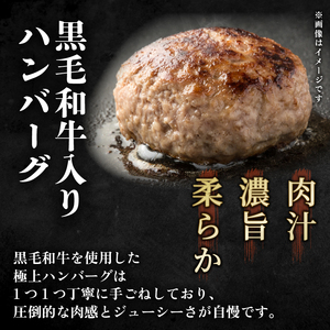 訳あり ハンバーグ6個 訳あり FN-SupportProject 増量 年末企画