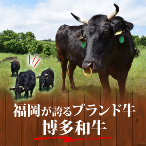 【博多和牛】 しゃぶしゃぶ 400g しゃぶしゃぶ MEP