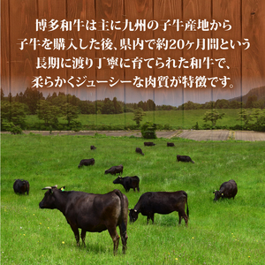 博多和牛 しゃぶしゃぶ 600g しゃぶしゃぶ MEP