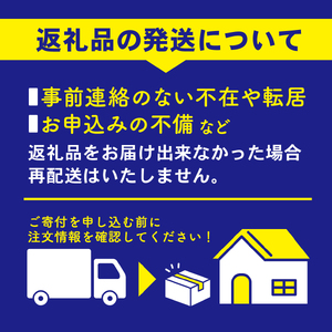 いちご4パック 人気あまおう あまおう 福岡あまおう 本場あまおう NGK018