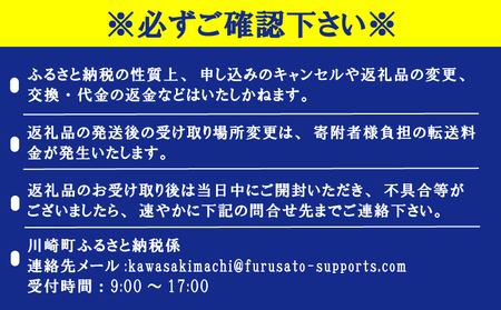 いちご4パック 福岡産いちご イチゴフルーツ 美味しい苺 苺 苺 苺 苺 苺BGF001