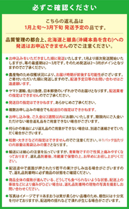 いちご あまおう 約280g×4パック 合計1120g 【2026年3月出荷予定】ONE
