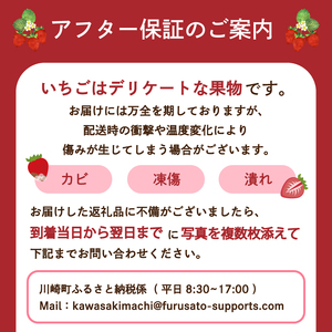 いちご あまおう 約280g×4パック 合計1120g 【2026年3月出荷予定】ONE