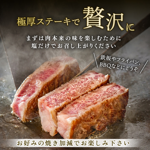 博多和牛 シャトーブリアン ステーキ 約300g｜シャトーブリアンIMD