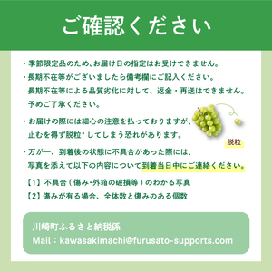 【2026年8月から発送】【先行予約】巨峰2㎏  巨峰 RYE
