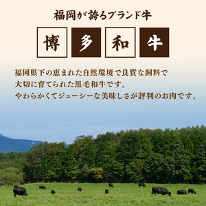 博多和牛 1kg こま切れ |こま切れ NKK