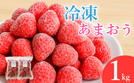 冷凍あまおう フローズンあまおう 苺 あまおう 1kg (500g×2p)｜あまおう 福岡県産 福岡 川崎 OKIいちご・バナナ