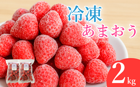冷凍あまおう フローズンあまおう 苺 あまおう 2kg (500g×4P) いちご ｜あまおう 福岡県産 福岡 川崎 OKI