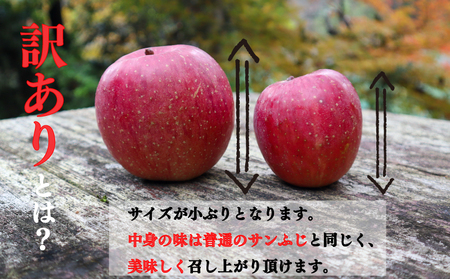 【訳アリ！ 】サンふじ 3kg（ 川崎町産 ）|りんご 林檎
