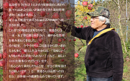 【訳アリ！ 】サンふじ 3kg（ 川崎町産 ）|りんご 林檎